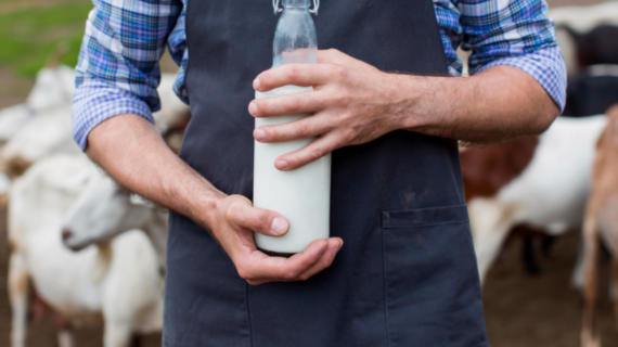 Produsen Susu Kambing Etawa Bubuk Berkualitas Tinggi: Pilihan Terbaik untuk Kesehatan Anda